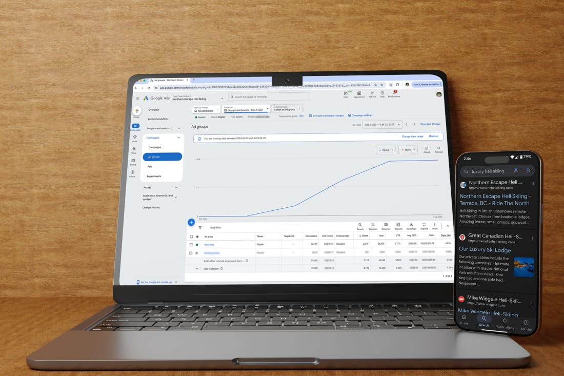 Google Ads Campaign for NEH